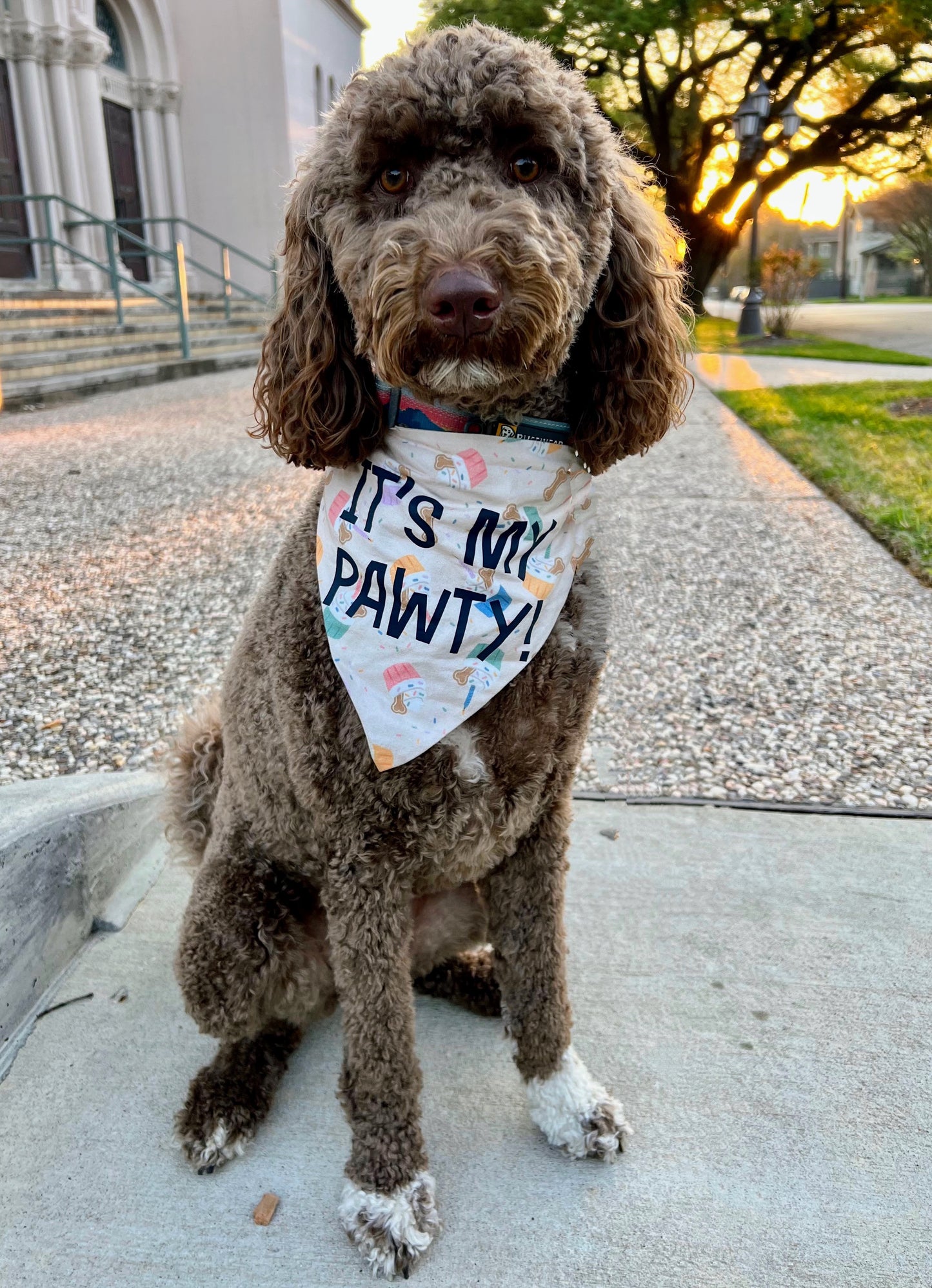 Pupcakes Bandana