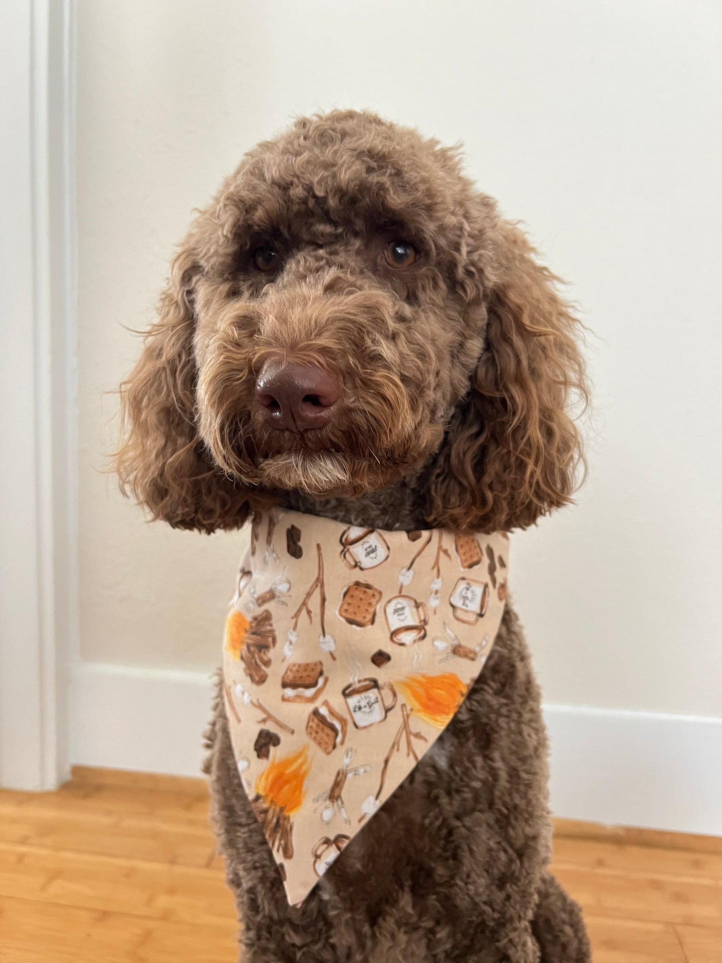 Campfire Adventure Bandana